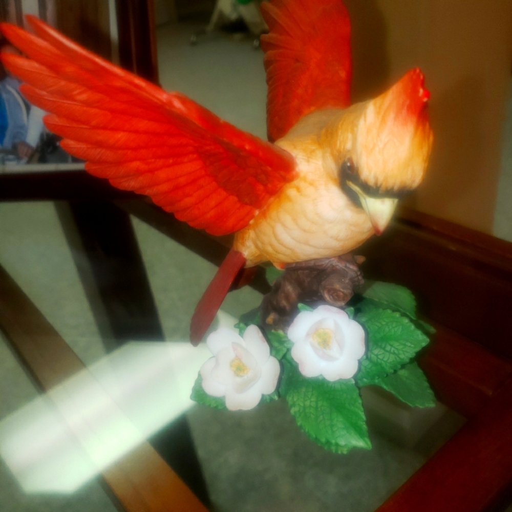 Lenox bird